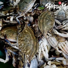 대한민국전통시장 연평도 큰 암꽃게 3kg (6-9미) 급냉, 1개