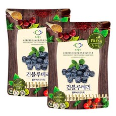 푸른들판 건블루베리 반건조 말린 건조 블루베리 과일 말랭이 베리류 샐러드 베이글 베이킹 토핑, 2개, 300g