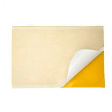 추천10 벌레트랩