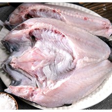국내산 산지직송 싱싱한 남해안 반건조 우럭 2~3미(~750g), 2개