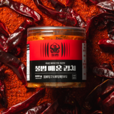 [불범 매운김치] 화끈하고 시원한 맛의 썰은 김치 오전 9시 이전 발송, 3개, 600g