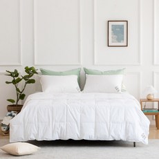 [소프라움] 좋은이불솜 RDS80 60수 구스다운 간절기 이불솜 싱글, 화이트/싱글(MDS22FS06D11WHS)