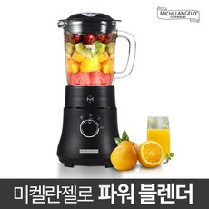 미켈란젤로믹서기