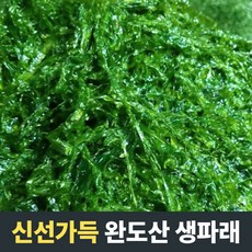 [신선가득] 향긋한 완도산 생파래 1kg 2kg 4kg 10kg 물파래 파래 완도파래 완도물파래 파래김 완도생파래 파래무침 물파래 파래 김 파래가루 파래김 파래자반 반찬 김자반