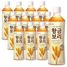 롯데 황금보리 500ml x 12PET, 12개