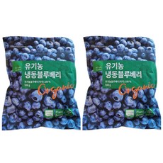 딜라잇가든 냉동 유기농 블루베리 500g x 2, 2개