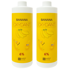 가인 하켄 바나나 옥시던트 프리온 산화제 9%, 2개, 1000ml