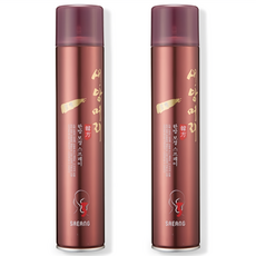1+1 새앙머리 한방 보정 깡통 스프레이, 300ml, 2개