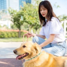 르와핏 강아지 진드기 퇴치제 고양이 모기 벌레 해충방지목걸이 기피제 1+1, 그린, 2개, 52ml