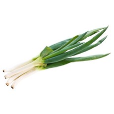 국내산 산지직송 흙대파 대파 업소용 대용량, 1개, 5kg