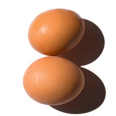 삼초마을 무항생제 난각번호 1번 계란 미네랄 비타민 유정란, 1개, 40구