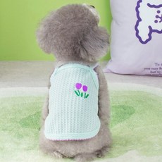 Coco studio 寵物Coco Song Song華夫格背心, 薄荷, 1個