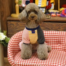 베이글핑크영양제