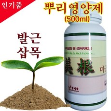공정성진근
