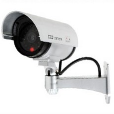 그릴전방카메라모형