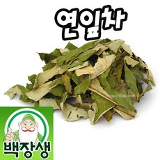생연잎파는곳
