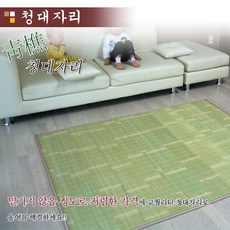 겉대대자리
