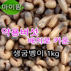 838a23b0-8d7f-451c-9e08-8076886038c0.jpg