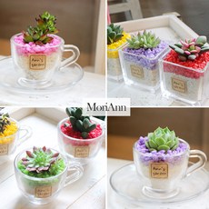 68ddd519-62ab-4b35-9390-31f62933a78a.jpg