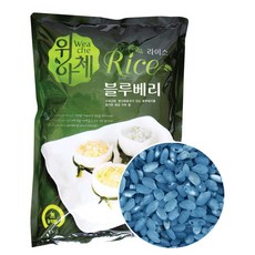 닥터브레인 위아체 블루베리라이스 1kg, 1개