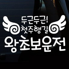 어쩌다시작한왕초보01