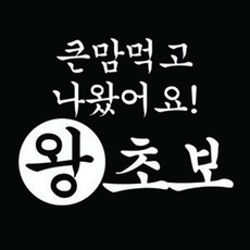 어쩌다시작한왕초보01