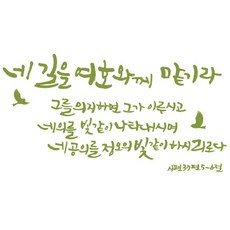 노아데코벽지