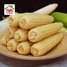 푸드빌리지 쫀득하고 맛있는 햇 백찰옥수수, 10개, 햇찰옥수수