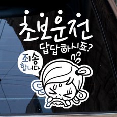 제제데코 초보운전스티커 초보답답 초순이, 반사, 1개