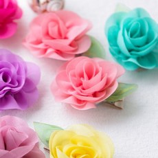 80fdb339-b04e-4835-b6cc-a846f66a9de1.jpg
