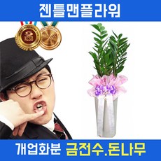 젠틀맨5.5