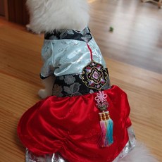 황진이한복