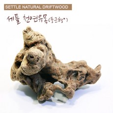 세틀 오푸와 유목, L (높이 25cm내외), 1개