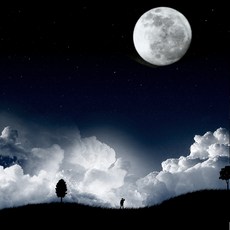 미드썸머나잇프래그런스오일