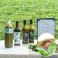 추천10 어성초액