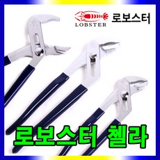 레이첼콕스rf1884