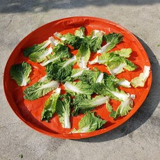 86ab3435-0fa9-4413-b30c-4de5574ac8b0.jpg