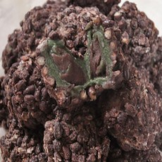 제주 오메기떡 40개(벌크포장) /산지배송, 2.4kg, 1개, 40개(아이스박스+비닐포장)