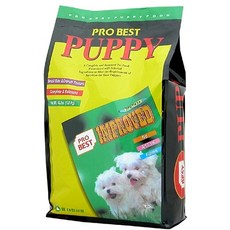 바람펫피트니스프로