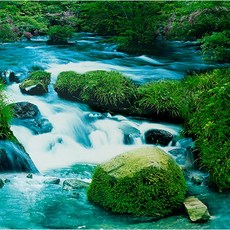 Limpid Spring 백스크린, 1개
