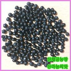 b9206d59-abca-45b5-bd8e-74c552f5fbcc.jpg