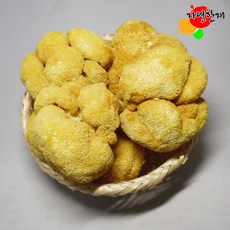 아이리스슈프렐텐셀이불솜q