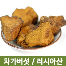 제이로드 행복약초 차가버섯, 500g, 1개