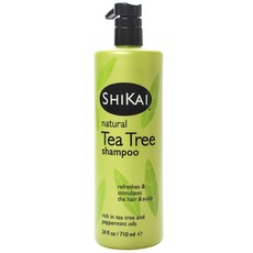 아티산시덴카이