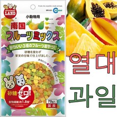 마루칸피토마루