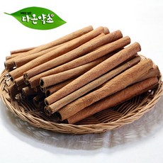 시나몬스틱모기