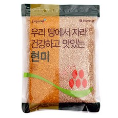들하늘현미