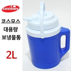 코스모스45190-2