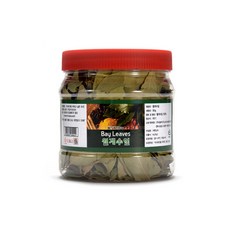 대구신차패키지가격