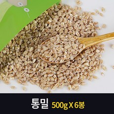 바른웰오곡미트볼
